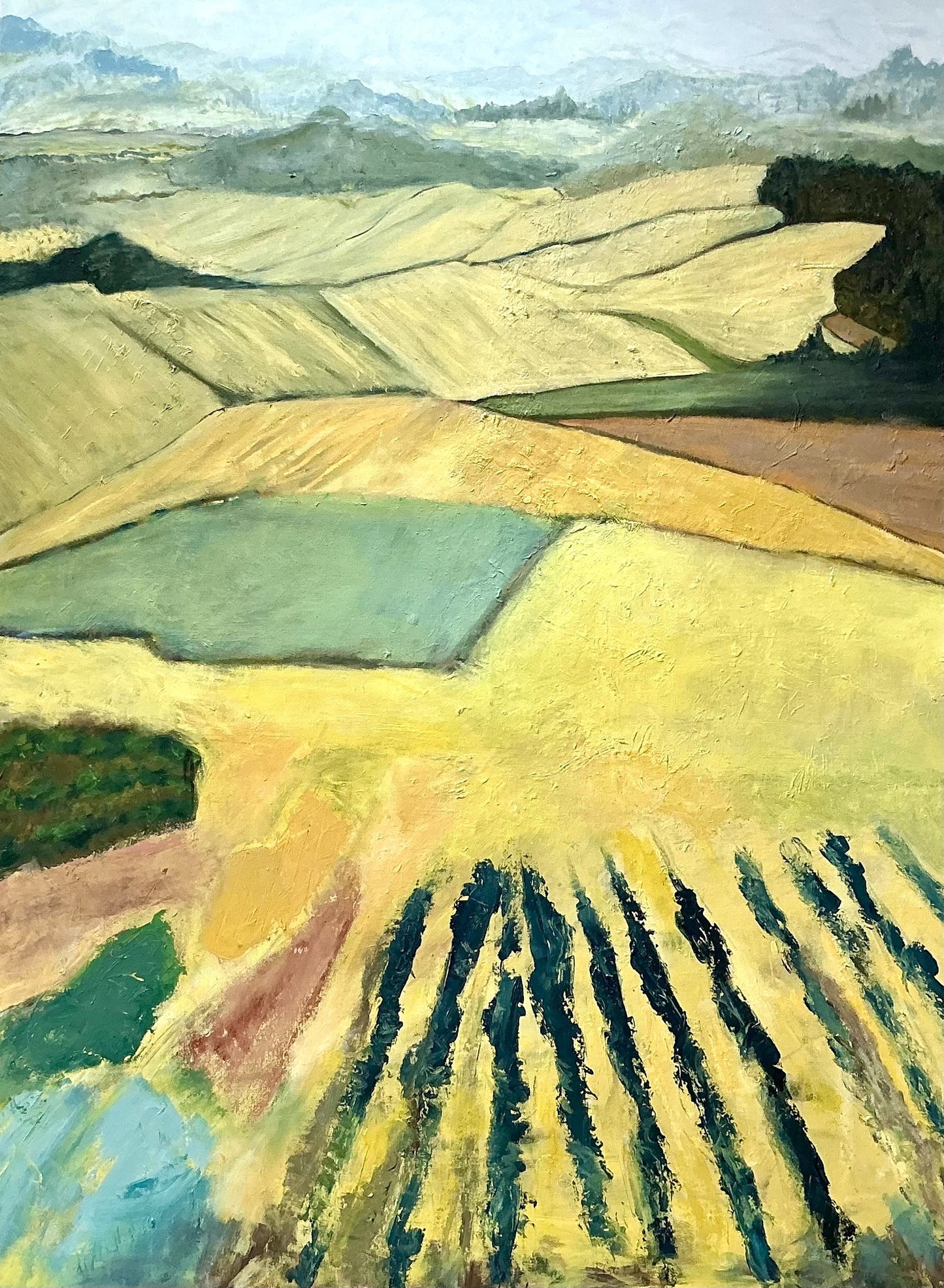 A View from the Vinyard