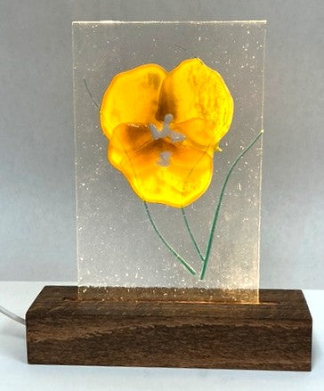 Yellow Pansy, Lighted