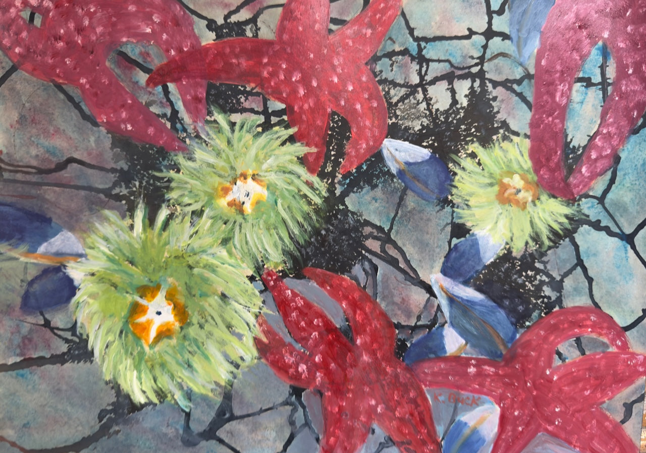 Galaxy of Starfish 4