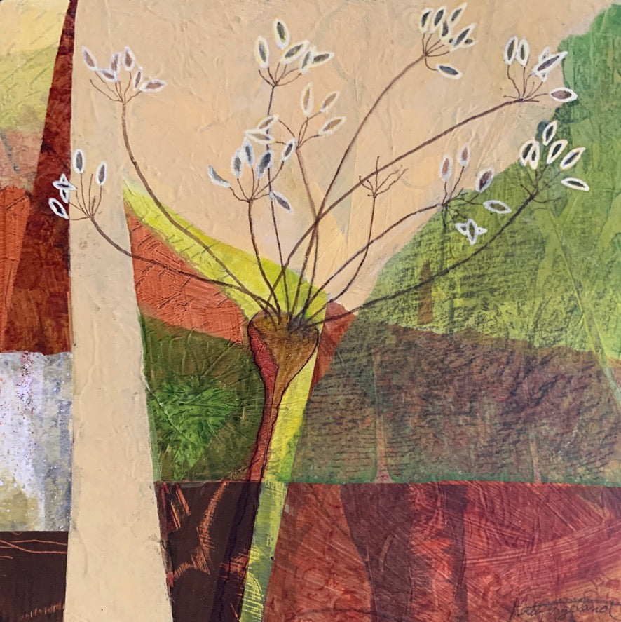 Metolius Collection 3