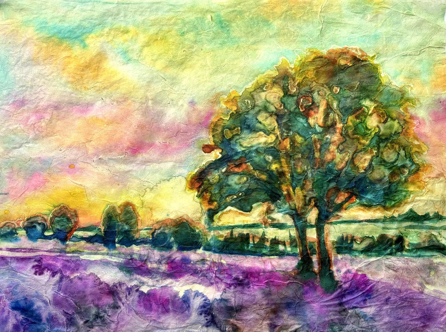 Lavendar Fields Forever