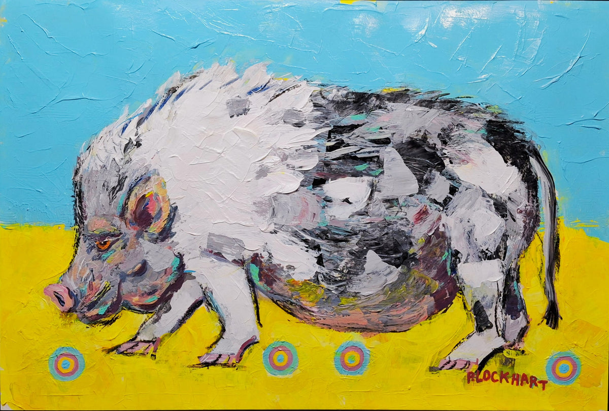 Potbelly Pig 14