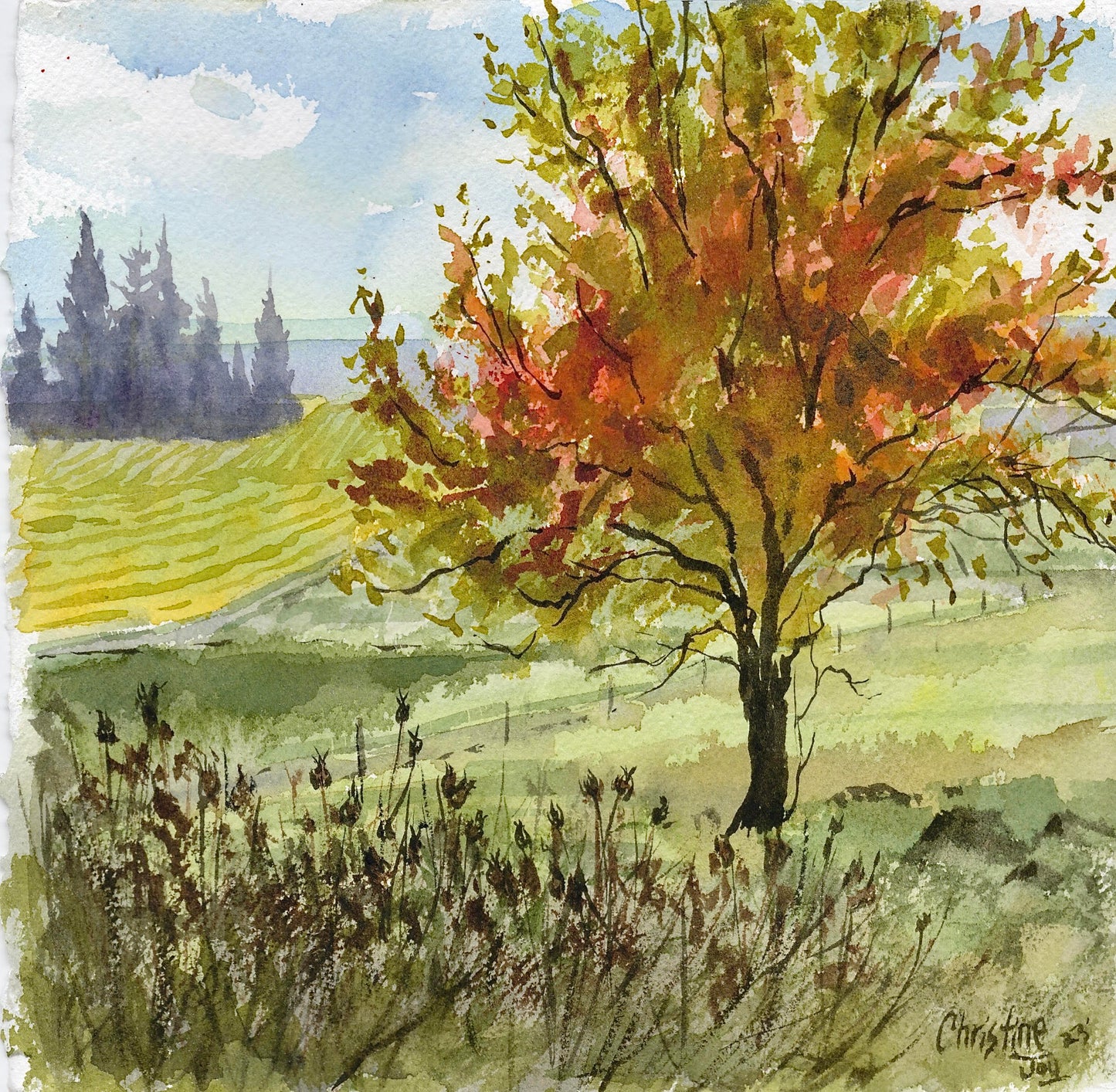 Autumn Landscape Watercolor, Thurs, Oct. 22, 1pm to 4pm , Instructor Christine Joy Swanson