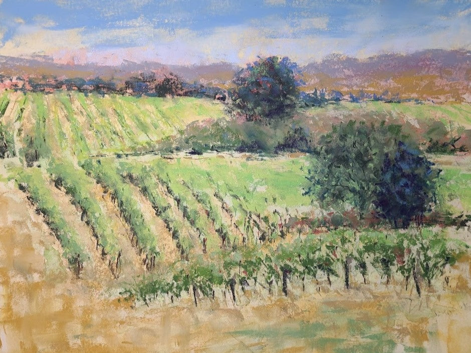 Sun Warmed Vineyards