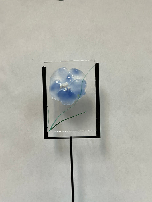 Currents Gallery photo