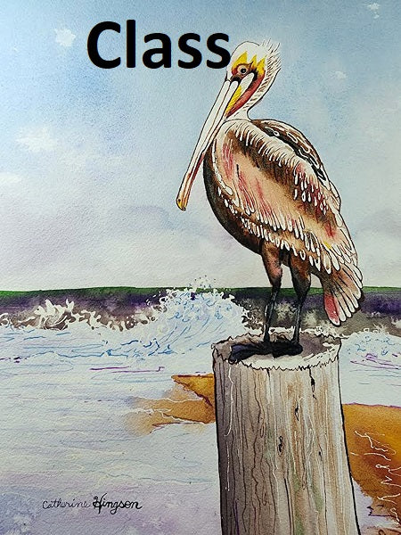 CANCELED "Brown Pelican Watercolor Workshop", 231007, by Catherine Hingson, Instructor