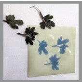 Cyanotype Possibilities , Sat., July 25, 10 am – 4 pm, Instructor Barbara Rainey