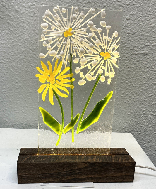 DANDELION LIGHT  99