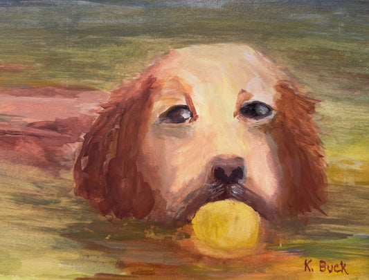 Fetch the Ball 185