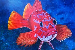 Ruby Rockfish