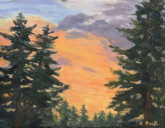 Sunshine in the Forest
