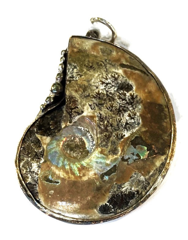 Pendant, Ammonite