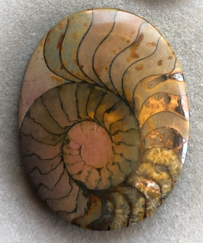 Necklace - Ammonite