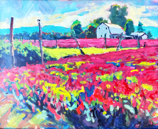 Clover Fields