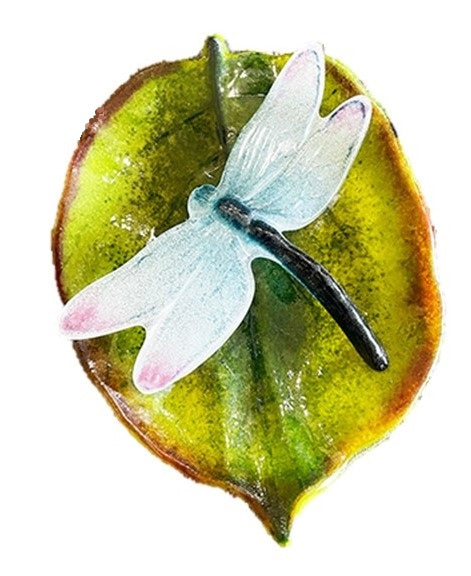 "Dragonfly on Leaf"