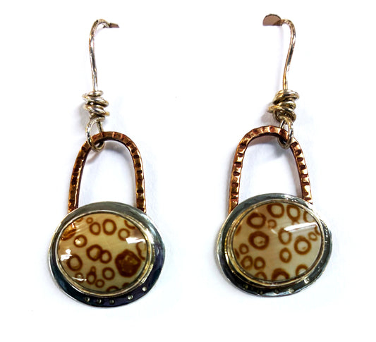 Earrings, 100 Eye Cowry Shell