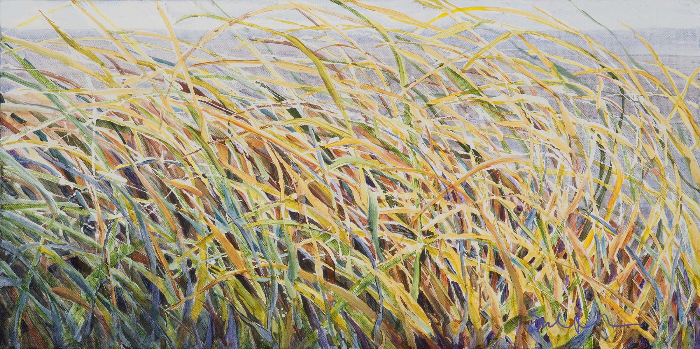 Currents Gallery photo