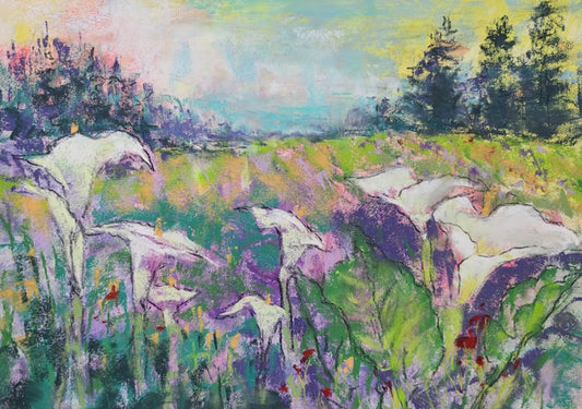 Calla Lilies