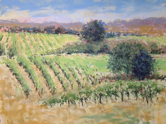 Sun Warmed Vineyards