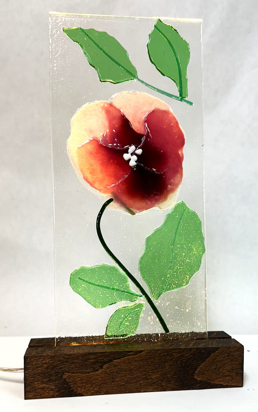 PINK PANSY, w light 93