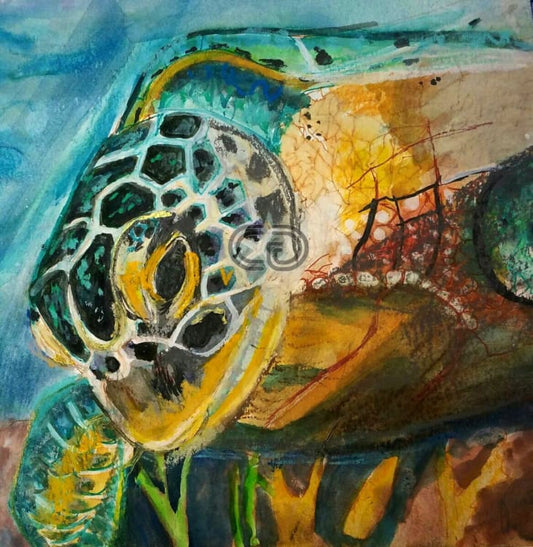 Currents Gallery photo